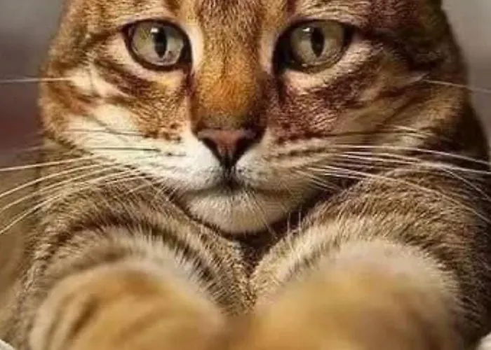 Centrum Cityapart Platinumtowers Parking Free Varsó